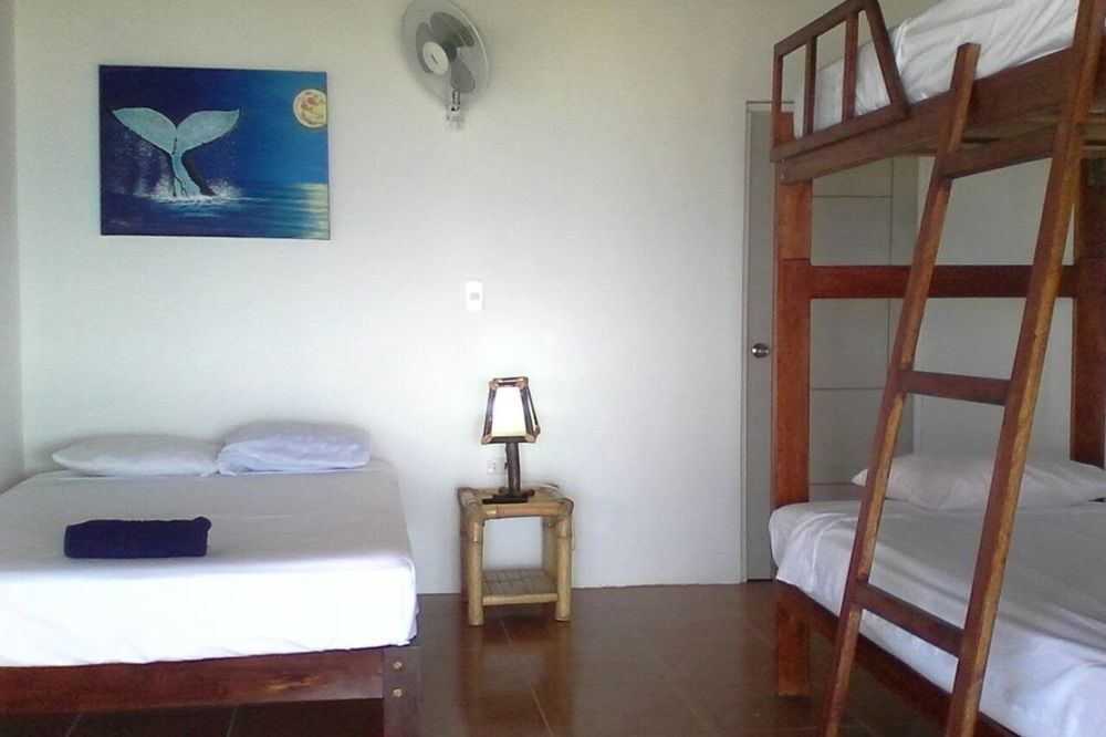 Las Tortuguitas Bungalows Los Órganos エクステリア 写真